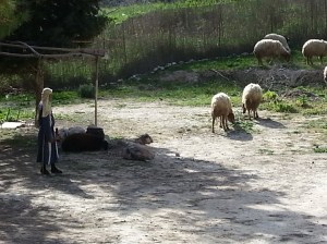 Shepherds of Bethlehem.