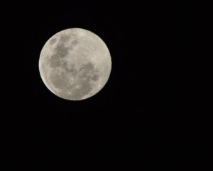 Night shift was taking its toll on me. (photo by R. Spearrin-used with permission)