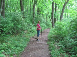 A restful walk in the woods.