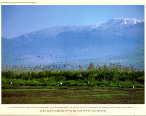 Mt. Hermon, the highest mountain in Israel at 9232 feet