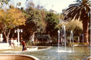 The park is like an oasis!