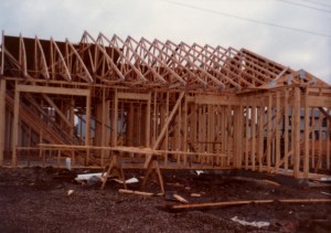 The walls go up on my new house!
