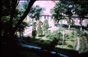 Hospital Grounds