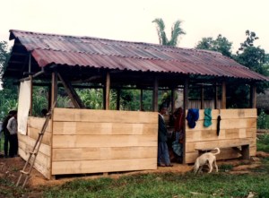 33 Trio Bladden banana farm Spanish