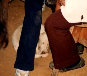 36 Clinic Dog sleeps under Dons feet