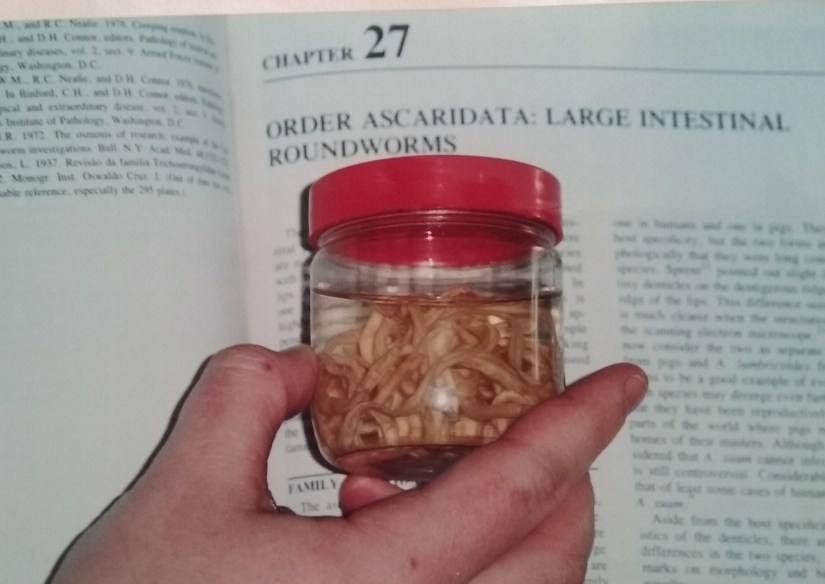 Round worms are widespread in tropical countries.